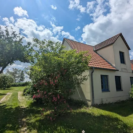 Appartement Knutt Born